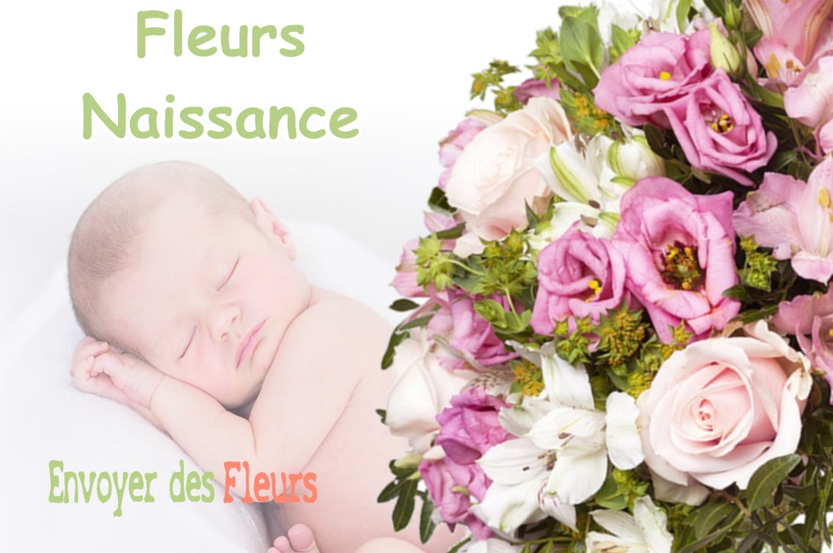 lIVRAISON FLEURS NAISSANCE à VERNASSAL