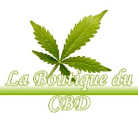 LA BOUTIQUE DU CBD VERNASSAL 